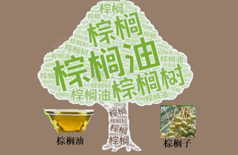 【XM官网】布林带收口预警!棕榈油即将选择终极方向?(图1) 【XM官网】布林带收口预警!棕榈油即将选择终极方向?(图1)